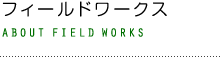 フィールドワークス