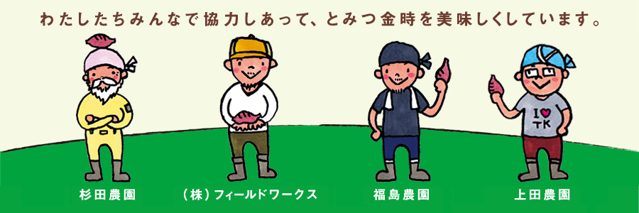 エコフィールドとみつ