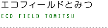 エコフィールドとみつ