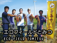 エコフィールドとみつ