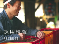 採用情報